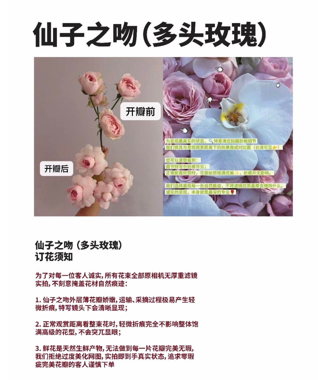 My Dear Princess 我的公主殿下