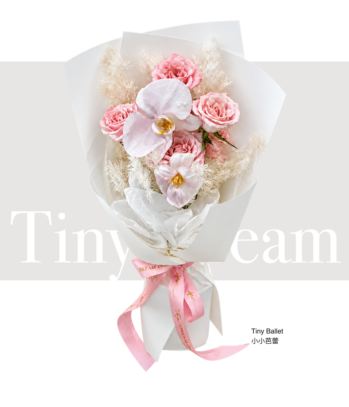Tiny Ballet 小小芭蕾 — product hero