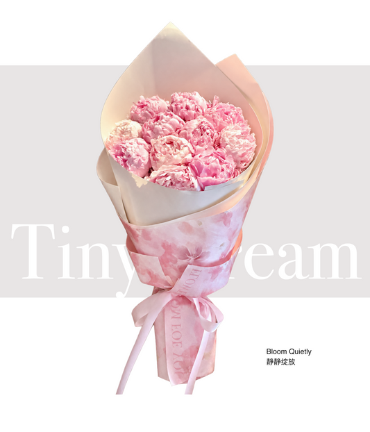 Bloom Quietly 静静绽放