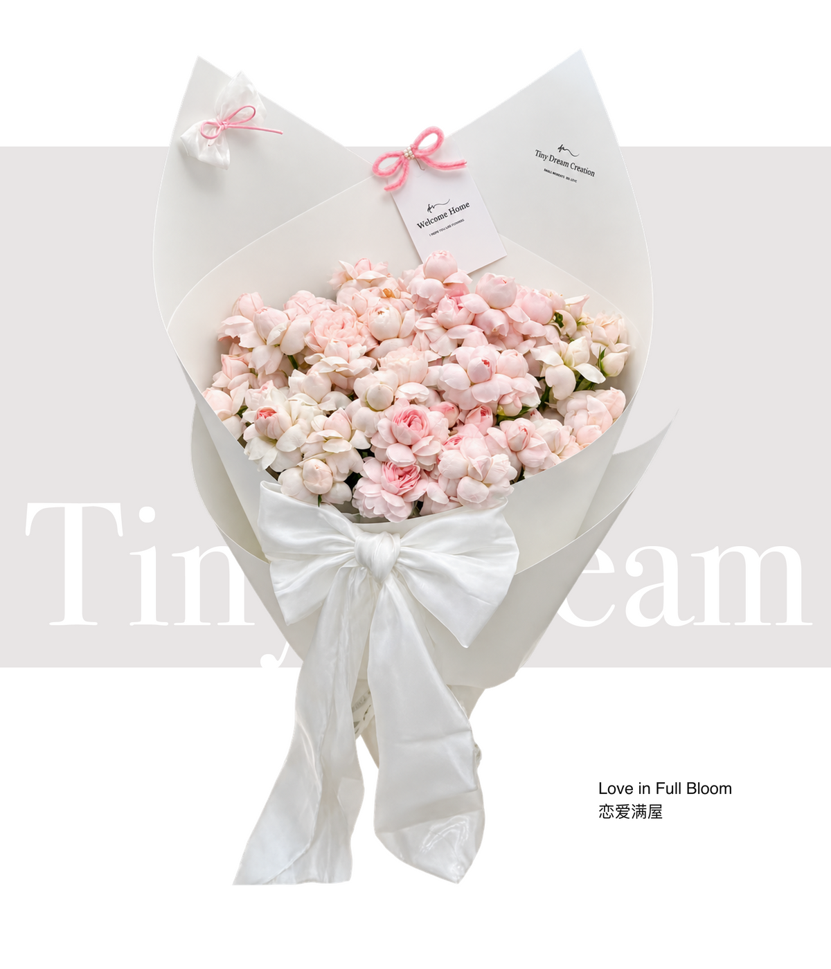 Love in Full Bloom 恋爱满屋