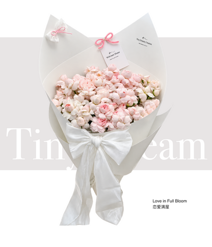 Love in Full Bloom 恋爱满屋